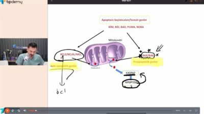 Dr.Patoloji TUS Patoloji Soru Çözümü