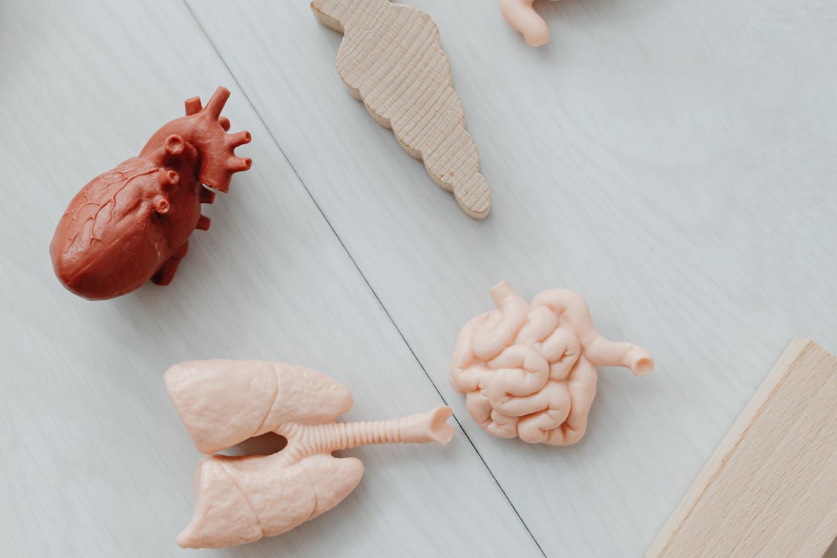 Adrenal Korteks ve Medulla Patolojileri